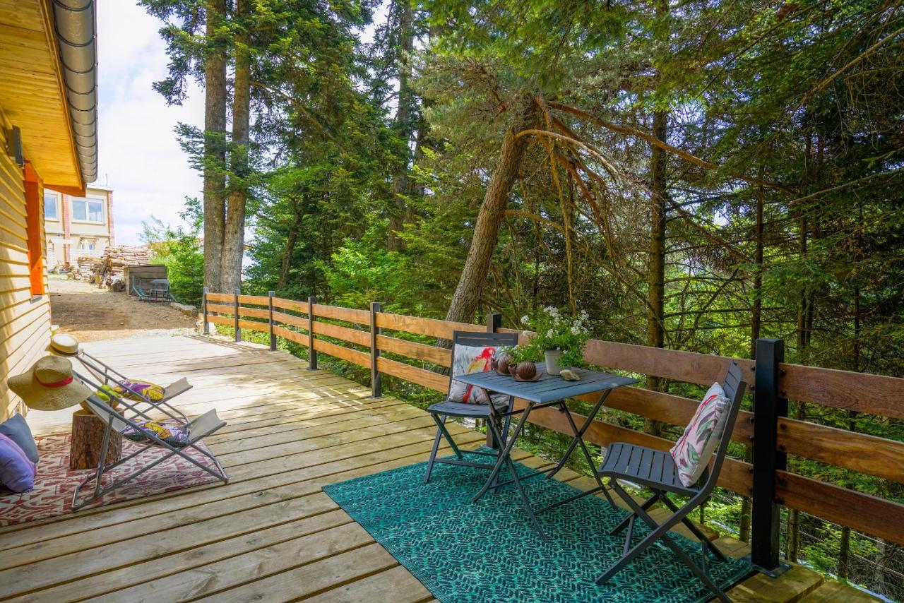 Bed and Breakfast Le Mont Besset Lalouvesc Zewnętrze zdjęcie